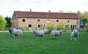 Luxury Barn With Sauna Near York Welcoming Families, Friends, Groups
